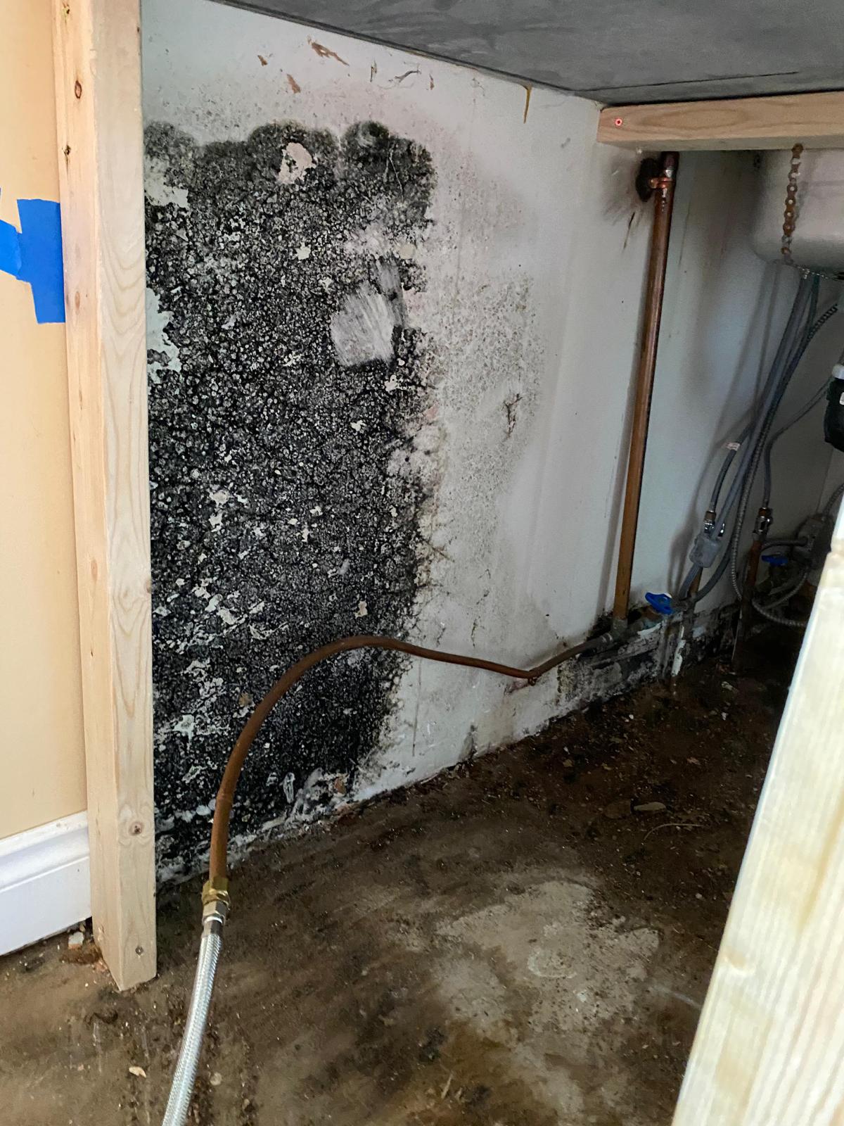 Mold Remediation